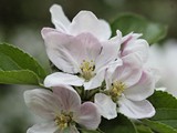April2007-75