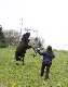 _MG_0077_RAW
