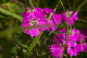 Mon_0443