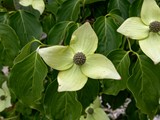 IMG_2813_DxO
